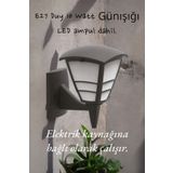 fullreyon E27 Duylu, 10 Watt Günışığı Led Ampul Dahil, İç ve Dış Mekan Bahçe, Balkon, Teras, Kamelya Apliği