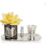 Füme Cam Sılver Pirinç Mum ve Gül Set Sarı