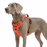 Funfox Köpek Koşum Takımı X-Large Çekmesiz Evcil Hayvan Koşum, Kolay Yürüyüş için Ayarlanabilir Köpek Yelek, Nefes Alabilir Oxford Malzeme, Kontrol için Metal Ön Klipsli Yansıtıcı Şeritler Büyük Irk