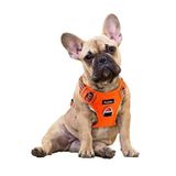 Funfox Küçük Köpek Koşum Çekme Yok, Kolay Yürüyüş için Ayarlanabilir Köpek Yeleği, Nefes Alabilir Oxford Malzeme, Küçük Köpek Yavrusu için Kontrol için Metal Ön Klipsli Yansıtıcı Şeritler Turuncu