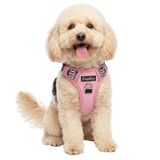 Funfox Küçük Köpek Koşum Takımı Çekmez, Kolay Yürüyüş için Ayarlanabilir Köpek Yeleği, Nefes Alabilir Oxford Malzeme, Küçük Yavru Köpek için Kontrol için Metal Ön Klipsli Yansıtıcı Şeritler Pembe