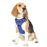 Funfox Orta Boy Köpek Koşum Takımı Çekmez, Kolay Yürüyüş için Ayarlanabilir Köpek Yeleği, Nefes Alabilir Oxford Malzeme, Küçük Yavru Köpek için Kontrol için Metal Ön Klipsli Yansıtıcı Şeritler Mavi
