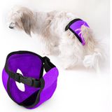 Funny And Furry Köpek Regl Külodu -Sanitary Pants - Mor - XLARGE