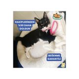 Furavo Pofu Nest Kedi Yatağı - Peluş Wellsoft Kumaş 310 Gr Boncuk Elyaflı Yumuşak Kedi/Köpek Yatağı