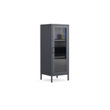 Furni24 Pera Camlı Metal Dolap 42x110cm, Cam Kapaklı Vitrin - Büfe - Kitaplık ve Çok Amaçlı Dolap ( Raf Ayarlanabilir) Ral 7016 Antrasit Siyah