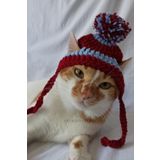 Furrever Crochet Bordo Mavi Taraftar Bere Örgü Kedi Köpek Şapkası Evcil Hayvan Şapkası Pet Aksesuarları