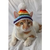 Furrever Crochet Gökkuşağı Bere Rengarenk Renkli Örgü Kedi Köpek Şapkası Evcil Hayvan Şapkası Pet Aksesuarları