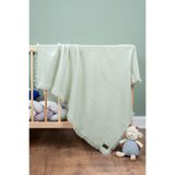 FURYATEX %100 Pamuk 4 Katlı Müslin Bebek Battaniyesi Adaçayı 100X120CM