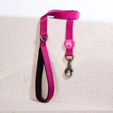 Fuşya Leash Kedi Köpek Sevk & Gezdirme Kayışı Köpek Uzatma Tasması Fuşya