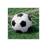 Futbol Topu Büyük Boy 16 Lı Peçete Çok Renkli