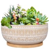 G EPGardening İç Mekan Bitkileri için 8 İnç Seramik Etli Saksılar Yuvarlak Sığ Bonsai Saksı Drenaj ve Bambu Tabağı Beyaz