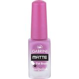 Gabrini Matte Oje No:22