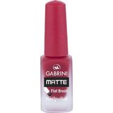 Gabrini Matte Oje No:27