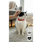 GAGGA GIFT Kişiye Özel Kalp Figürlü Pleksi Kedi & Köpek Künyesi – İsim ve Numara Yazılı