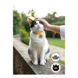 GAGGA GIFT Kişiye Özel Kedi Figürlü Pleksi Kedi & Köpek Künyesi – İsim ve Numara Yazılı