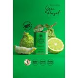 Gaia Oliva Bergamot Çeşnili 175 ml Natürel Sızma Zeytinyağı (Yeni Hasat)