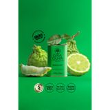 Gaia Oliva Bergamot Çeşnili 175 ml Natürel Sızma Zeytinyağı