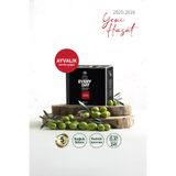 Gaia Oliva Everyday Ayvalık 2 lt Natürel Sızma Zeytinyağı