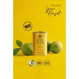Gaia Oliva Limon Çeşnili 175 ml Natürel Sızma Zeytinyağı (Yeni Hasat)