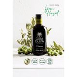 Gaia Oliva Premium Yamalak Sarısı 500 ml Erken Hasat Natürel Sızma Zeytinyağı (Yeni Hasat)