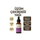 Gaia Organic Üzüm Çekirdeği Yağı – Soğuk Sıkım, Cilt Sıkılaştırıcı & Hafif Nemlendirici, 30 ml