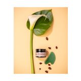 Gaia Remedies -The Immaculate Ton Eşitleyici Gece Kremi