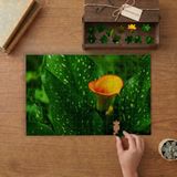 Gala Çiçeği Tasarımı 240 Parça Ahşap Puzzle Ahşap Kutuda MP07115