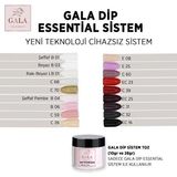 Gala Professional C32 10 gr Dip Sistem Toz