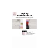 Gala Professional LB01 Rakı Beyazı 10 gr Dip Sistem Toz