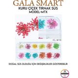 Gala Smart Kuru Çiçek Naıl Art Tırnak Süs C