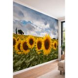 Galaksi ve Renkli Gezegenler - Modern Salon ve Genç Odası Tek Parça Tekstil Duvar Kağıdı, 400 x 260, W227-18