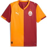 Galatasaray 2025/26 Iç Saha Erkek Kırmızı Futbol Forması 77980901 - Çok Renkli
