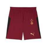 Galatasaray 2025/26 Üçüncü Erkek Kırmızı Futbol Şortu 77982303