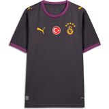 Galatasaray 2026/27 Deplasman Erkek Gri Futbol Forma 78501305 - 2XL