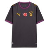 Galatasaray 2026/27 Deplasman Erkek Gri Futbol Forma 78501305