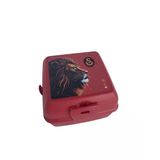 Galatasaray Aslanlı Beslenme Kabı Çatal Kaşık Seti Okul Lunch Box Seti
