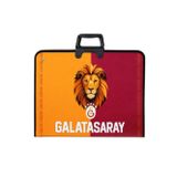 Galatasaray Aslanlı Proje Çantası 35X50 Lisanslı