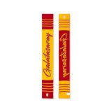 Galatasaray Çocuk Triko Atkı C252179