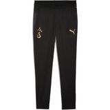 Galatasaray Erkek Antrenman Eşofman Altı - XL - Puma Black
