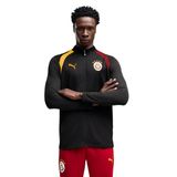 Galatasaray Erkek Siyah Antrenman Ceket 78680903
