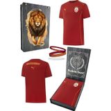 Galatasaray Orijinal Lisanslı 2024/25 Kırmızı Antrenman T-Shirt + Bileklik Set Hediyelik Ahşap Kutu