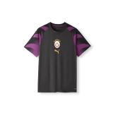 Galatasaray Puma Antrenman T-shirt 78681705