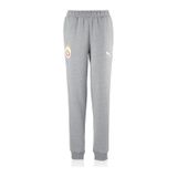 Galatasaray Puma Eşofman Alt 65859833 Gri