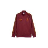 Galatasaray Puma King Ceket 78292513