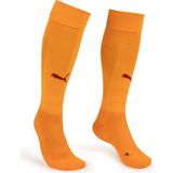 Galatasaray S.k. 24/25 Futbol Çorabı