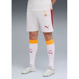 Galatasaray S.k. Shorts 25/26 İç Saha Parçalı Şort Erkek Futbol Şortu