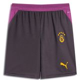 Galatasaray S.k. Shorts 26/27 Deplasman Şort Erkek Futbol Şortu