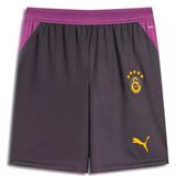 Galatasaray S.k. Shorts 26/27 İç Saha Şort Erkek Futbol Şortu