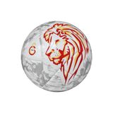 Galatasaray Velocity Serisi Lisanslı 32 Panel Gizli Dikişli 5 Numara Ölçülü Parlak Günlük Antrenman Futbol Topu