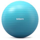 GalSports Egzersiz Topu Yoga Topu Ev Spor Salonu için, Egzersiz ve Fitness için Stabilite Topu, Ofis için Denge Topu Koltuğu, Fizik Tedavi için İsviçre Topu